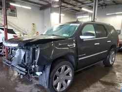 Cadillac salvage cars for sale: 2013 Cadillac Escalade Platinum