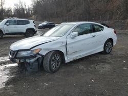 Salvage cars for sale from Copart Marlboro, NY: 2015 Honda Accord EXL