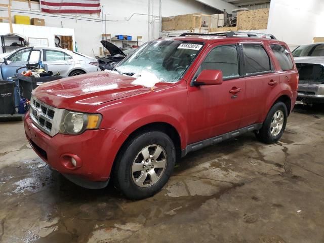 2011 Ford Escape Limited