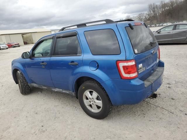 2011 Ford Escape XLT