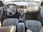 2007 Ford Escape XLT