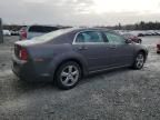 2010 Chevrolet Malibu 1LT