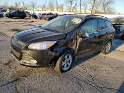 Ford salvage cars for sale: 2014 Ford Escape SE