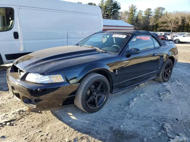 1999 Ford Mustang Cobra SVT