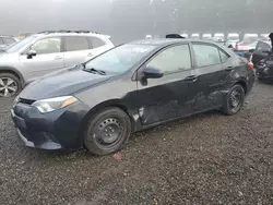 Vehiculos salvage en venta de Copart Graham, WA: 2014 Toyota Corolla L