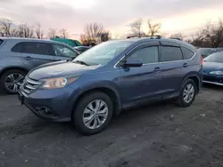 Salvage cars for sale at Baltimore, MD auction: 2014 Honda CR-V EXL