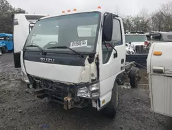 Salvage trucks for sale at Waldorf, MD auction: 2006 Isuzu NPR