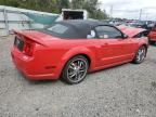 2005 Ford Mustang GT