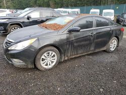 Hyundai Vehiculos salvage en venta: 2011 Hyundai Sonata GLS