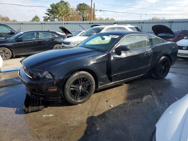 2013 Ford Mustang