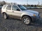 2007 Ford Escape XLT