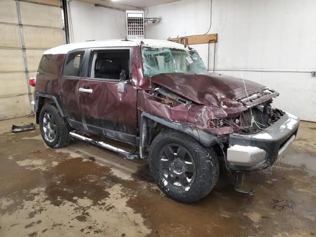 2007 Toyota FJ Cruiser