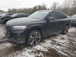 Salvage cars for sale at Cookstown, ON auction: 2023 Audi SQ5 Sportback Prestige