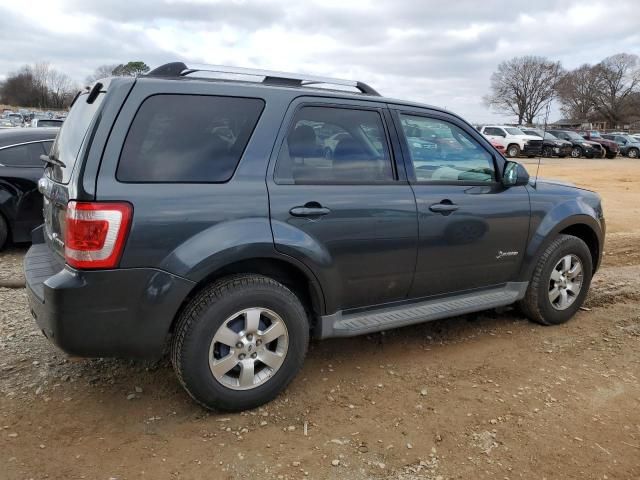 2009 Ford Escape Hybrid