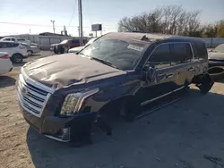 Cadillac Vehiculos salvage en venta: 2016 Cadillac Escalade Platinum