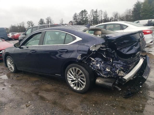 2021 Lexus ES 300H Luxury