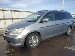 2005 Honda Odyssey EXL en venta en Littleton, CO