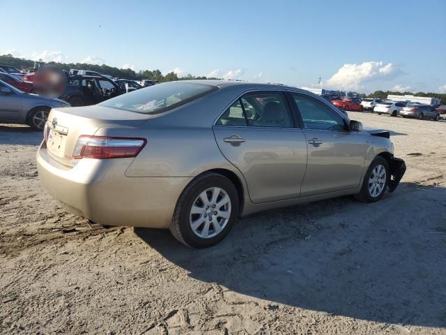 2009 Toyota Camry Hybrid