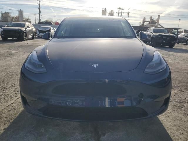 2025 Tesla Model Y