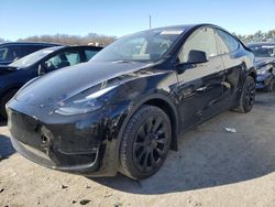 Salvage cars for sale at auction: 2024 Tesla Model Y