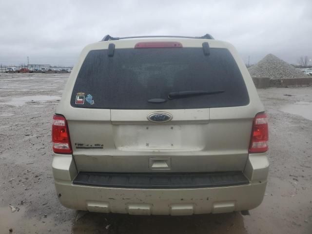 2012 Ford Escape XLT