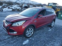 Salvage cars for sale at Reno, NV auction: 2014 Ford Escape Titanium