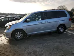 Salvage cars for sale at Seaford, DE auction: 2010 Honda Odyssey EXL