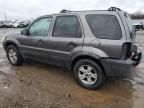 2005 Ford Escape XLT