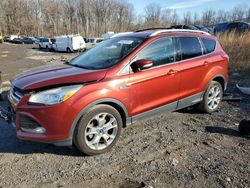 Salvage cars for sale at Baltimore, MD auction: 2014 Ford Escape Titanium