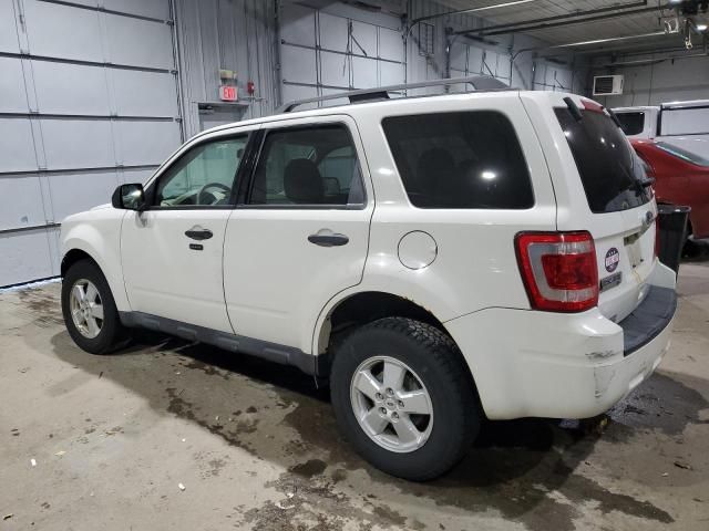 2010 Ford Escape XLT