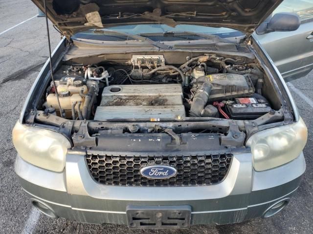 2006 Ford Escape HEV