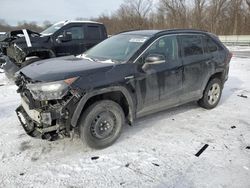 Toyota rav4 le salvage cars for sale: 2021 Toyota Rav4 LE