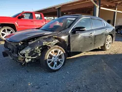 Salvage cars for sale at Tanner, AL auction: 2012 Nissan Maxima S