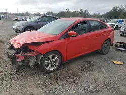 Salvage cars for sale at Riverview, FL auction: 2014 Ford Focus SE