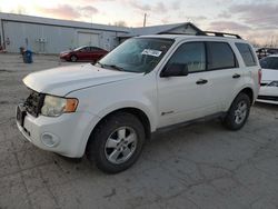 2009 Ford Escape Hybrid en venta en Pekin, IL