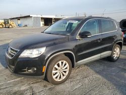 Volkswagen salvage cars for sale: 2011 Volkswagen Tiguan S