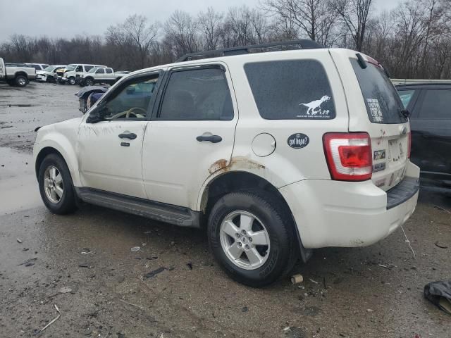 2010 Ford Escape XLT