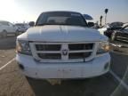 2011 Dodge Dakota SLT