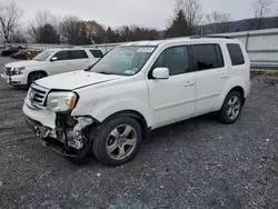 Honda Vehiculos salvage en venta: 2015 Honda Pilot EXL