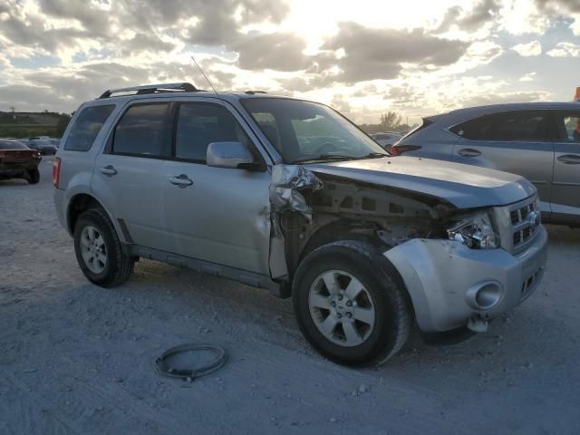 2011 Ford Escape Limited