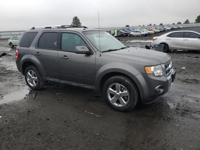 2012 Ford Escape Limited