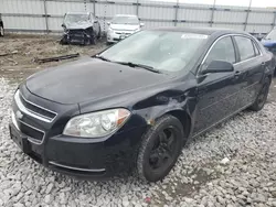 Salvage cars for sale at Cahokia Heights, IL auction: 2009 Chevrolet Malibu 1LT