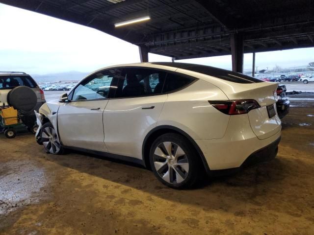 2020 Tesla Model Y