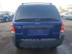 2006 Ford Escape XLT