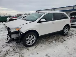 2013 Ford Edge SEL en venta en Wayland, MI