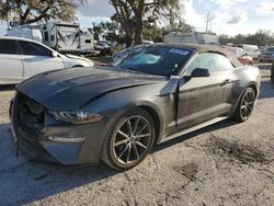 Muscle Cars for sale at auction: 2019 Ford Mustang