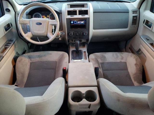 2008 Ford Escape XLT