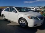 2009 Toyota Camry Hybrid