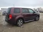 2014 Honda Pilot EXL