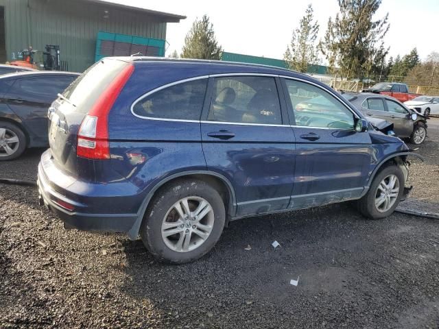 2010 Honda CR-V EXL